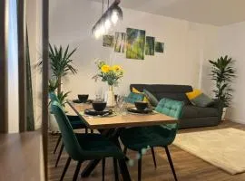 Elite XCity Timișoara - Apartament Premium