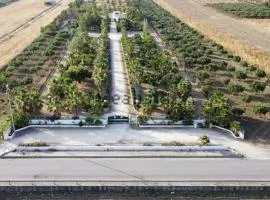 PALM PARK TRAPANi- parking Piscina a 10 minuti dal centro e dal mare