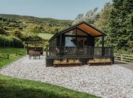 Briarfield Farm Stays - Coillte Cabin