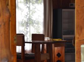 Cabañas y tinajas Rukaleufu – hotel w mieście Futrono