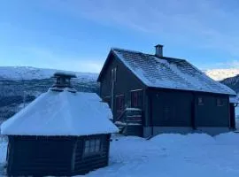 Authentic Norwegian Cabin - Sauna, Firehouse & Nature