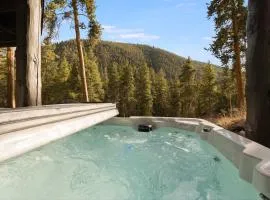 Keystone 5BD 5 5BT Luxury Remodel 2025 & Pets