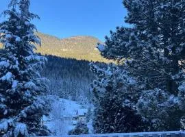 Urlaub mit Bergblick - Ferienhaus in Bad Bleiberg