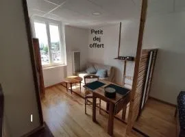 Studio sympa et très calme entre canal et Loire