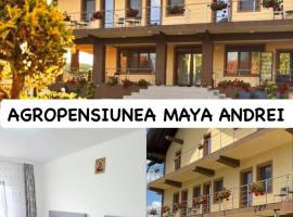 Agropensiunea Maya-Andrei, hotel en Novaci-Străini