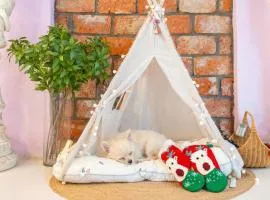 yangpyeong seojongpool pet pension