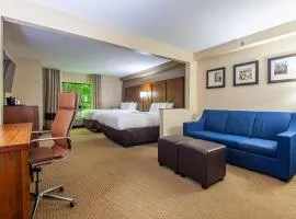 Comfort Suites Morrow- Atlanta South