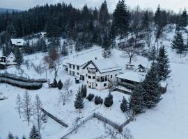 Cabana Transylwonder, Hotel in Sicasău