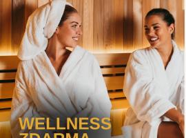 Hotel Kouty, hotel em Ledec nad Sázavou