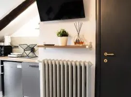 Cozy central apartment with a view of the mole