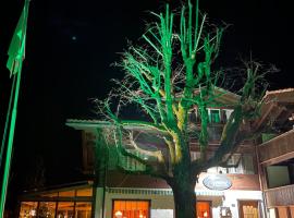 Tenne Lenk - Gasthof & Hotel, hotel em Lenk