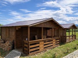 Cabanuta Din Deal, hotel v destinaci Racoviţa