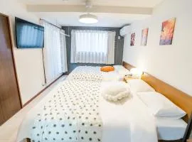 203 Room, a 6-minute walk from Tokyo Koiwa Station Direct connected to Shinjuku and Akihabara Stations Comfortable one-bedroom apartment with separate wet and dry areas