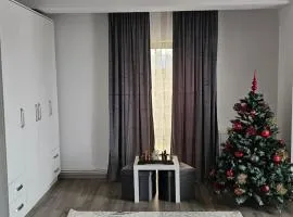 New Airport Apartment