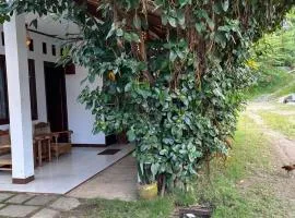 In Home stay
