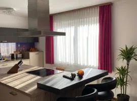 Bright & Cozy Apartment