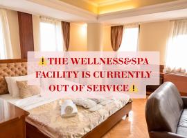 Sole Mio Wellness & SPA，諾維薩德的飯店