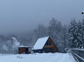 Cozy Aframe Valea Doftanei，Trăisteni的飯店