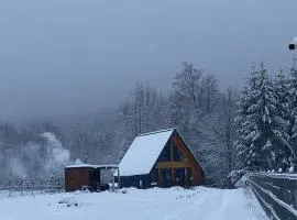 Cozy Aframe Valea Doftanei