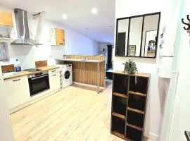 Beau T2 entier et rénové hyper centre Foix wifi offert