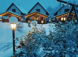 Domki nad Strumykiem-Solina