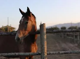 Agriturismo La Serrata