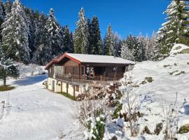 Chalet de la Mexel Gerardmer, Hotel in Gérardmer