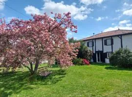 Bienvenue à la maison