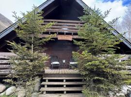 Les Vaillants Chalet - Vielle Aure, hotel u gradu 'Vielle-Aure'