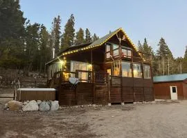 Mtn Cabin, Hot Tub, Views, Easy Access, Near Breck
