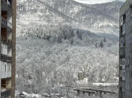 ADA Residence Lupeni acces rapid catre Straja Ski Resort – hotel w mieście Lupeni
