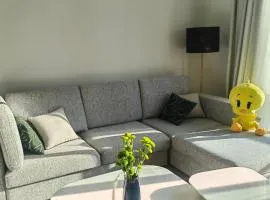 Yas F1 1 bedroom apartment