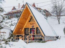 Pensiunea Casa Iulia A-Frame, hotel en Martinie