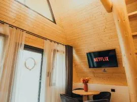 Pensiunea Casa Iulia A-Frame