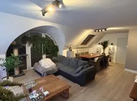 Luxury Rooftop Penthouse near Tomorrowland