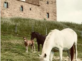 Equisoain Torre, Hotel in Monreal