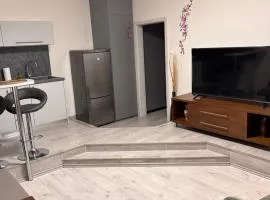 Elegant Escape apartment IV - free parking, easy access to City Center