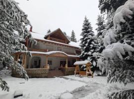 Cabana De La Rau Satic, hotel em Satic