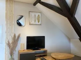 Bel appartement 2 pièces