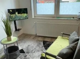 Hof Uffenbeck - Apartment 4 , auf dem Land