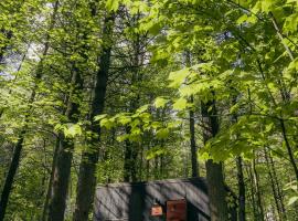 Postcard Cabins Kettle River, Outdoor Collection by Marriott Bonvoy, Hotel in Willow River