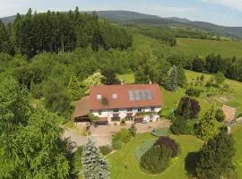 Gîte confortable avec jardin privatif près de Saint-Dié-des-Vosges - FR-1-589-844