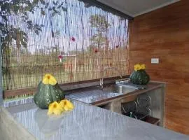 The Carao Caribbean Harmony