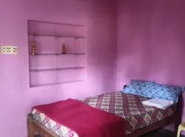 Chaithnya farm house