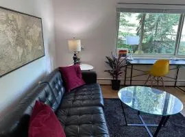Cozy 1 BR Apartment Near Convention Center