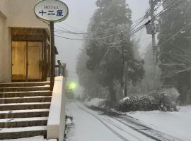 Juniya Myoko, hotel i Myoko