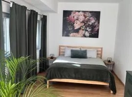 Green House kuća s 4 spavaće sobe