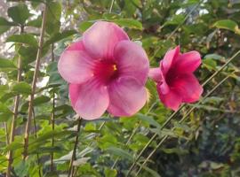 Beach house, Maral – hotel w mieście Harihareshwar