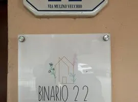 Binario 22