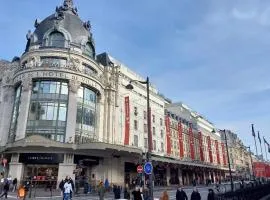 Appartement raffiné Spacieux Quartier historique du Marais